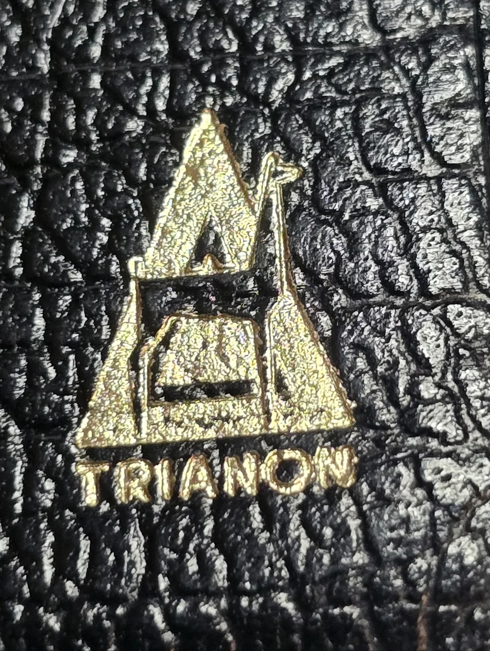 Trianon Columbia Black Women's Leather Wallet with Gold Accent